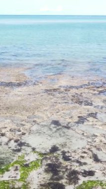Tanzanya 'nın Zanzibar kıyısındaki okyanusun dikey videosu