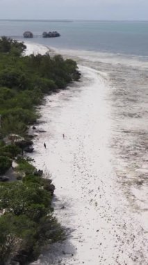 Tanzanya 'nın Zanzibar kıyısındaki okyanusun dikey videosu