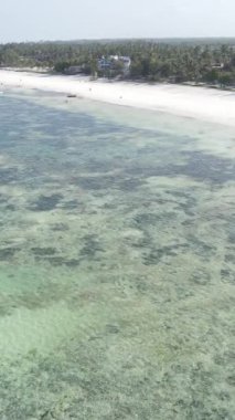 Tanzanya 'nın Zanzibar kıyısındaki okyanusun dikey videosu