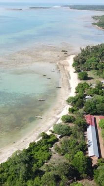 Tanzanya 'nın Zanzibar kıyısındaki okyanusun dikey videosu