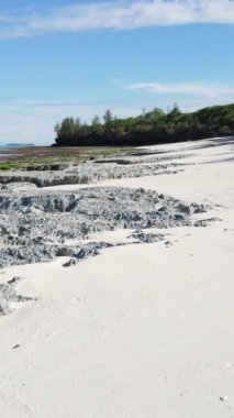 Tanzanya 'nın Zanzibar adasındaki boş kumsal