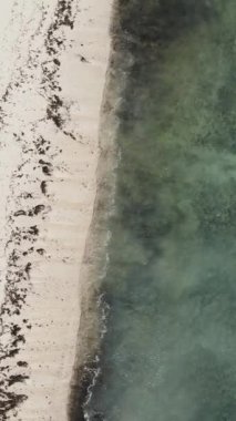 Tanzanya 'nın Zanzibar adasındaki boş kumsal