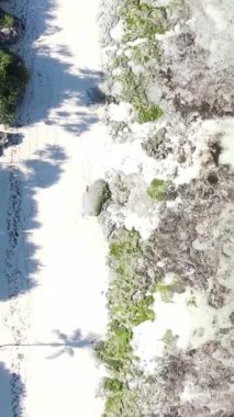 Tanzanya 'nın Zanzibar adasındaki boş kumsal