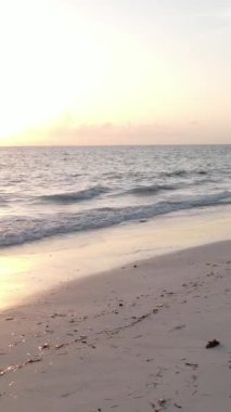 Tanzanya 'nın Zanzibar adasındaki boş kumsal