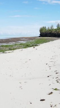 Tanzanya 'nın Zanzibar adasındaki boş kumsal