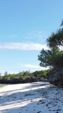 Tanzanya 'nın Zanzibar adasındaki boş kumsal