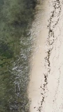 Tanzanya 'nın Zanzibar adasındaki boş kumsal