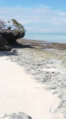 Tanzanya 'nın Zanzibar adasındaki boş kumsal