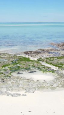 Tanzanya 'nın Zanzibar adasındaki boş kumsal