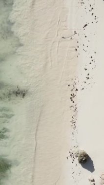 Tanzanya 'nın Zanzibar adasındaki boş kumsal