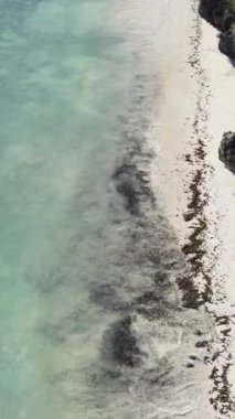 Tanzanya 'nın Zanzibar adasındaki boş kumsal