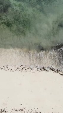 Tanzanya 'nın Zanzibar adasındaki boş kumsal