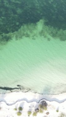 Tanzanya 'nın Zanzibar adasındaki boş kumsal