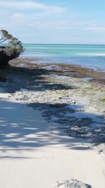 Tanzanya 'nın Zanzibar adasındaki boş kumsal