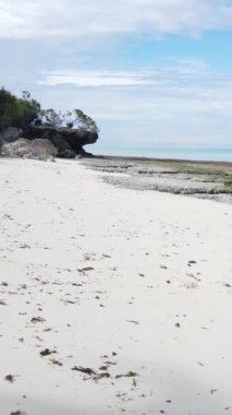 Tanzanya 'nın Zanzibar adasındaki boş kumsal