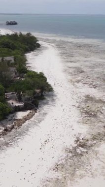 Tanzanya 'nın Zanzibar kıyısındaki okyanusta alçak gelgitin dikey videosu
