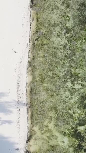 Pionowe wideo oceanu w pobliżu wybrzeża Zanzibaru, Tanzania — Wideo stockowe