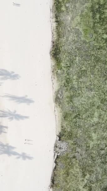 Függőleges videó üres strand Zanzibár szigetén, Tanzánia — Stock videók