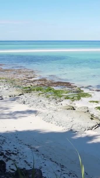 Függőleges videó üres strand Zanzibár szigetén, Tanzánia — Stock videók