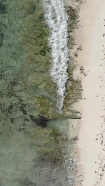 Вертикальне відео Порожній пляж на острові Занзібар, Танзанія — стокове відео