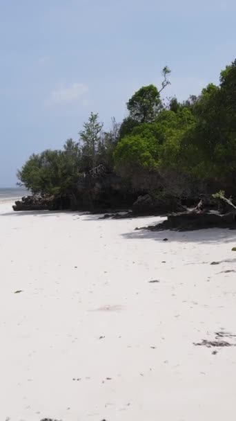 Vertical video empty beach on Zanzibar island, Tanzania — Stock Video