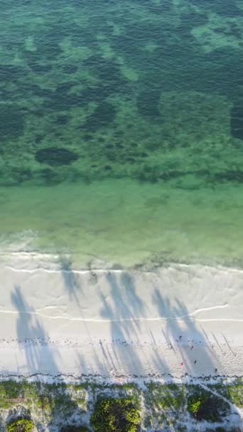 Вертикальное видео пустой пляж на острове Занзибар, Танзания — стоковое видео