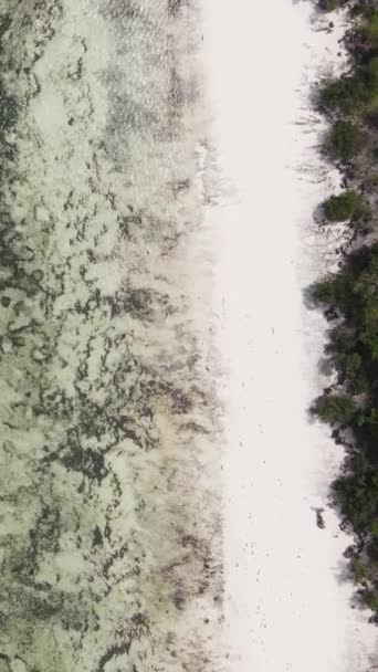 Κάθετη βίντεο άδεια παραλία στο νησί Zanzibar, Τανζανία — Αρχείο Βίντεο