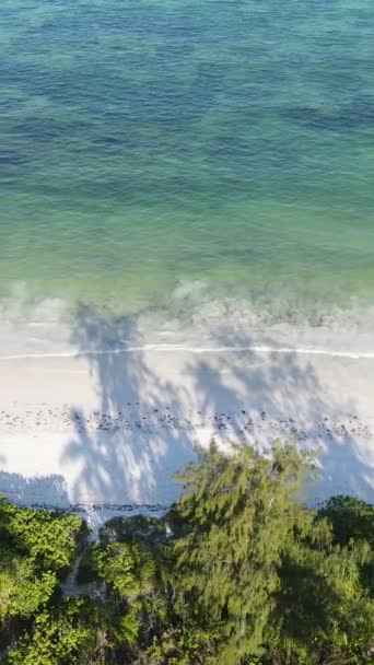 Vertikální video prázdná pláž na ostrově Zanzibar, Tanzanie — Stock video