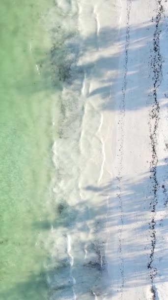 Függőleges videó üres strand Zanzibár szigetén, Tanzánia — Stock videók