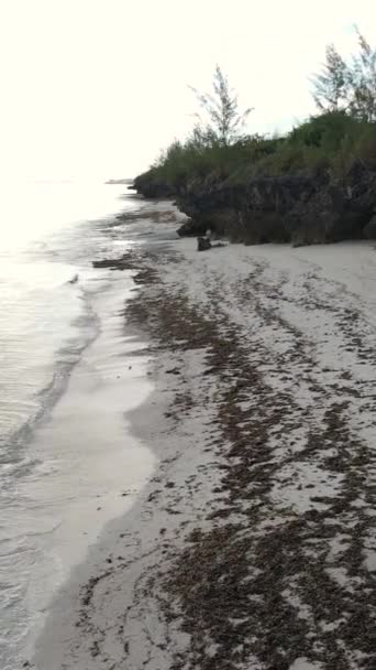 Függőleges videó üres strand Zanzibár szigetén, Tanzánia — Stock videók