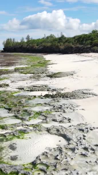 Vertikální video prázdná pláž na ostrově Zanzibar, Tanzanie — Stock video