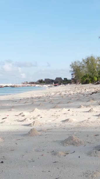 Вертикальне відео Порожній пляж на острові Занзібар, Танзанія — стокове відео