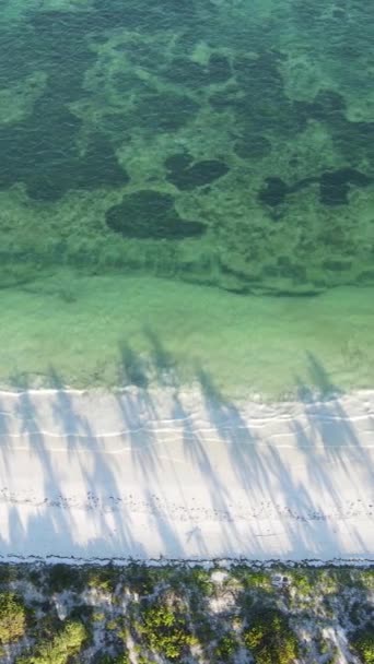 Függőleges videó üres strand Zanzibár szigetén, Tanzánia — Stock videók