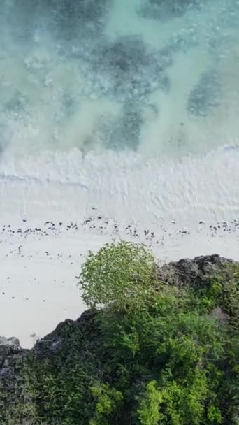 Vertikal video tom strand på ön Zanzibar, Tanzania — Stockvideo