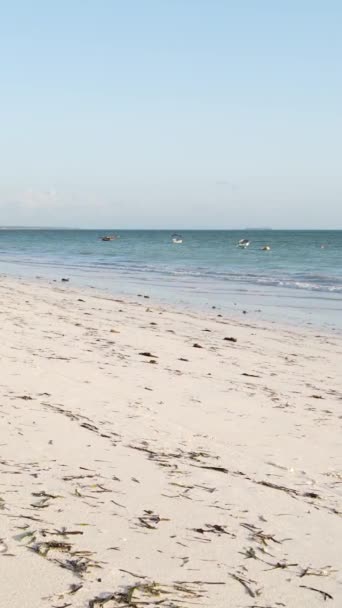 Vidéo verticale plage vide sur l'île de Zanzibar, Tanzanie — Video