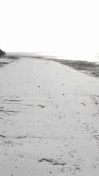 Függőleges videó üres strand Zanzibár szigetén, Tanzánia — Stock videók