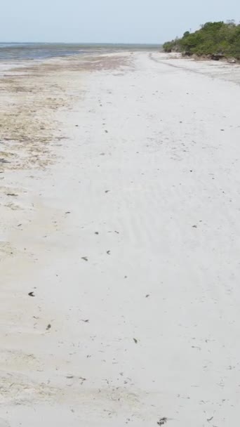 Vertical video empty beach on Zanzibar island, Tanzania — Stock Video