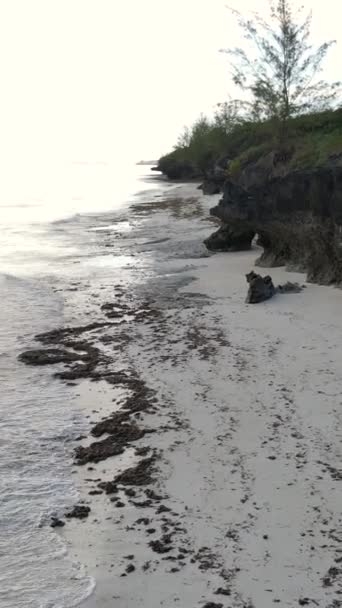 탄자니아 잔지바르 섬에 있는 수직 영상비어 있는 해변 — 비디오