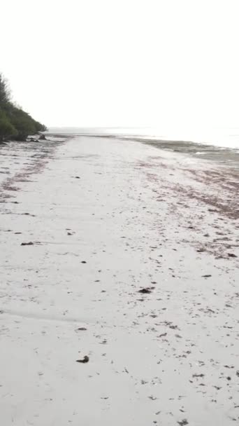 Vídeo vertical playa vacía en la isla de Zanzíbar, Tanzania — Vídeos de Stock