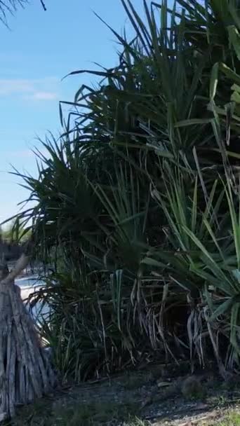 Vídeo vertical playa vacía en la isla de Zanzíbar, Tanzania — Vídeos de Stock