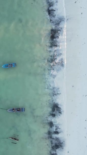 Vídeo vertical playa vacía en la isla de Zanzíbar, Tanzania — Vídeo de stock