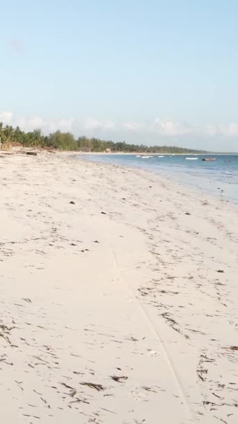 Vertical video empty beach on Zanzibar island, Tanzania — Stock Video