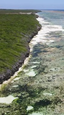 Tanzanya 'nın Zanzibar kıyısındaki okyanusta alçak gelgitin dikey videosu