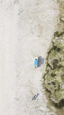 Tanzanya 'nın Zanzibar kıyısındaki okyanusta alçak gelgitin dikey videosu