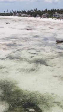 Tanzanya 'nın Zanzibar kıyısındaki okyanusta alçak gelgitin dikey videosu
