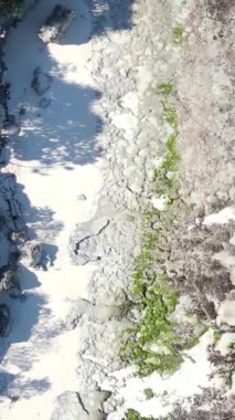 Tanzanya 'nın Zanzibar kıyısındaki okyanusta alçak gelgitin dikey videosu
