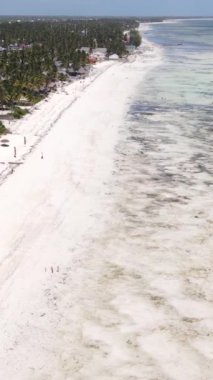 Tanzanya 'nın Zanzibar kıyısındaki okyanusta alçak gelgitin dikey videosu