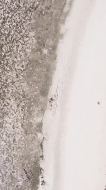 Tanzanya 'nın Zanzibar kıyısındaki okyanusta alçak gelgitin dikey videosu