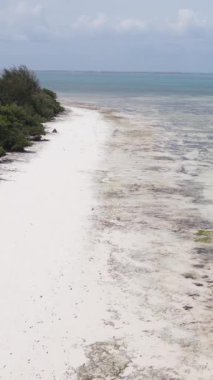 Tanzanya 'nın Zanzibar kıyısındaki okyanusta alçak gelgitin dikey videosu