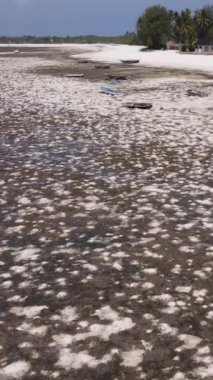 Tanzanya 'nın Zanzibar kıyısındaki okyanusta alçak gelgitin dikey videosu
